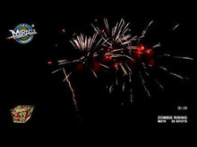 Load and play video in Gallery viewer, ZOMBIE RISING